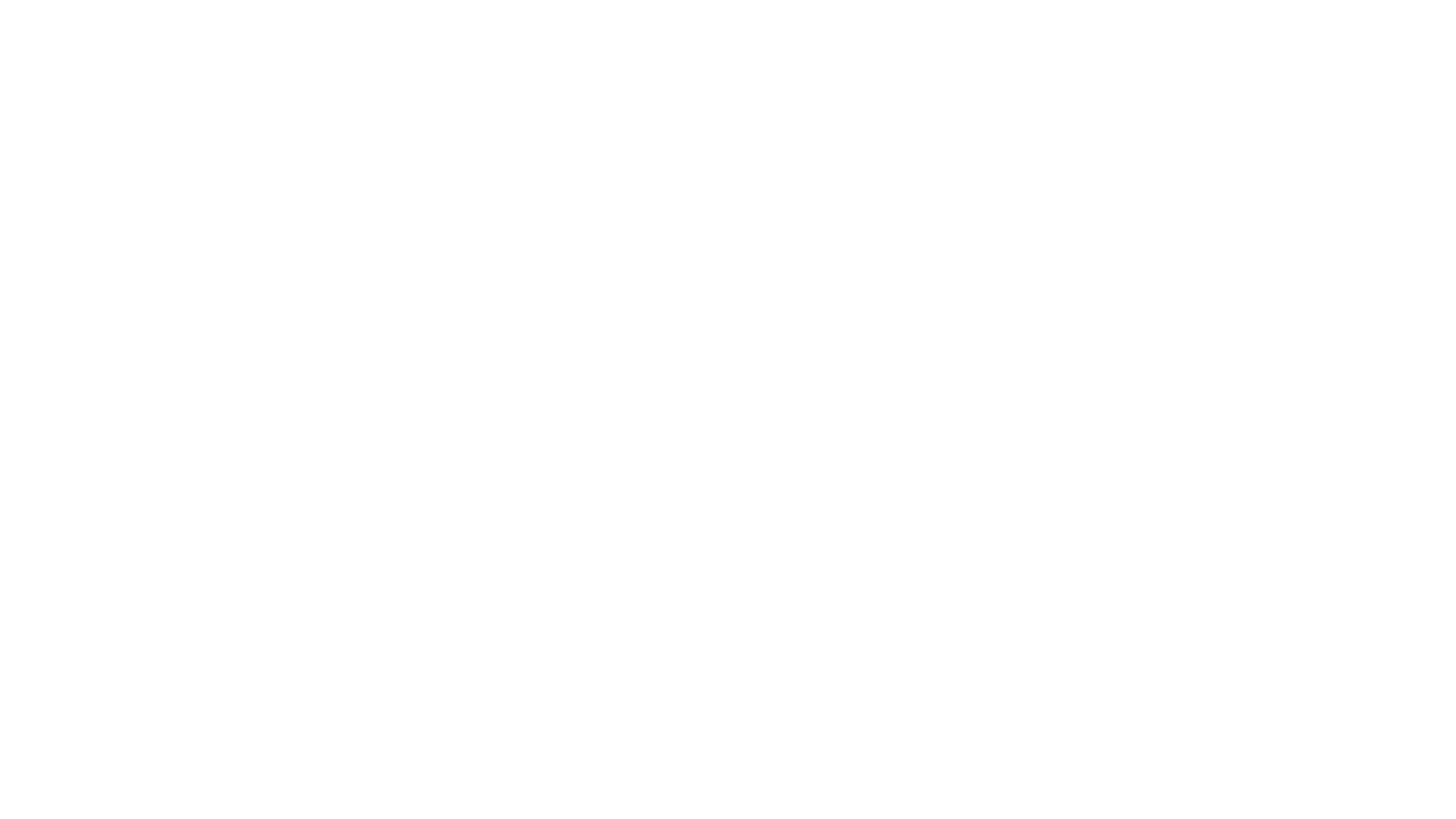 HAN logo wit HAN logo wit