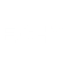 ECH Logo 2