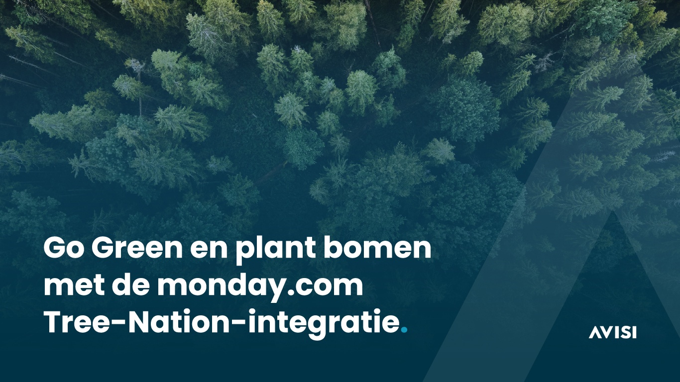 Go Green en plant bomen met de monday.com Tree-Nation-integratie 🌳